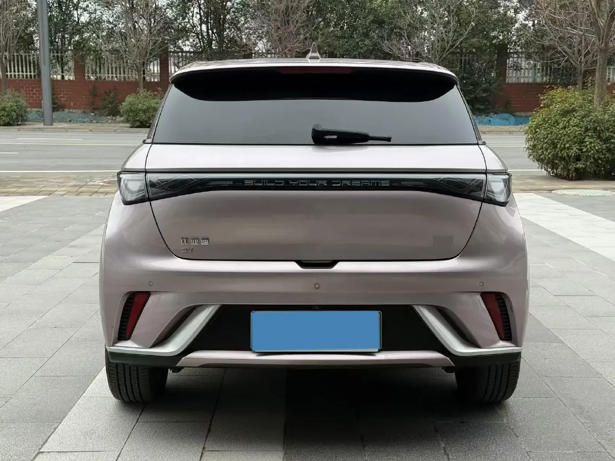 2024 BYD Dolphin BEV 44.928KWH,autocango,china used car exporter,china ev exporter,chinese used car exporter,chinese used ev exporter