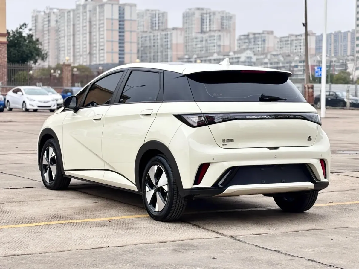 2023 BYD Dolphin BEV 44.928KWH,autocango,china used car exporter,china ev exporter,chinese used car exporter,chinese used ev exporter