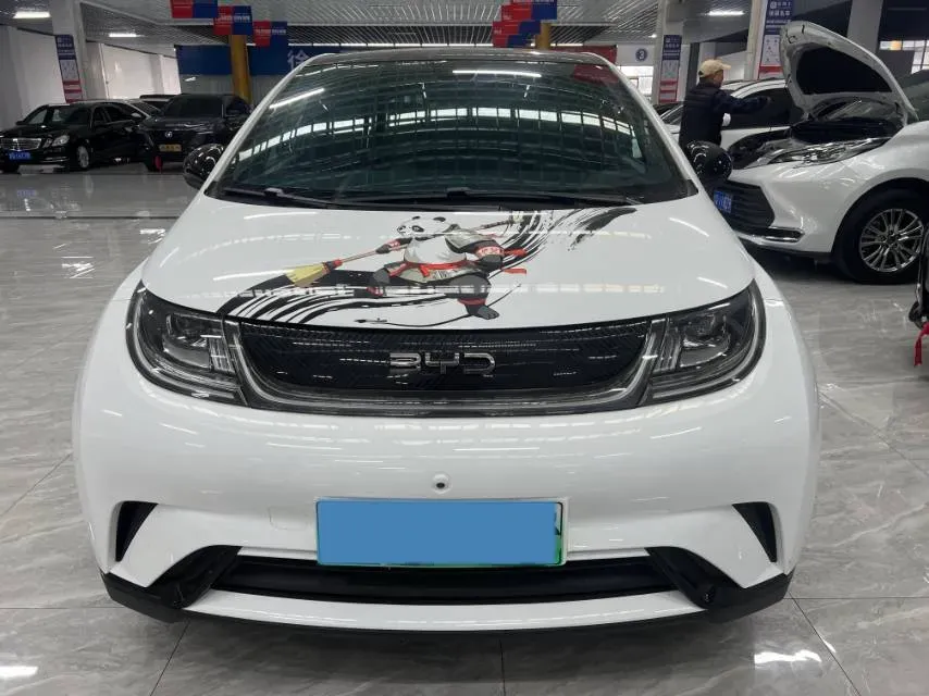 2025 BYD Dolphin BEV 44.928KWH,autocango,china used car exporter,china ev exporter,chinese used car exporter,chinese used ev exporter