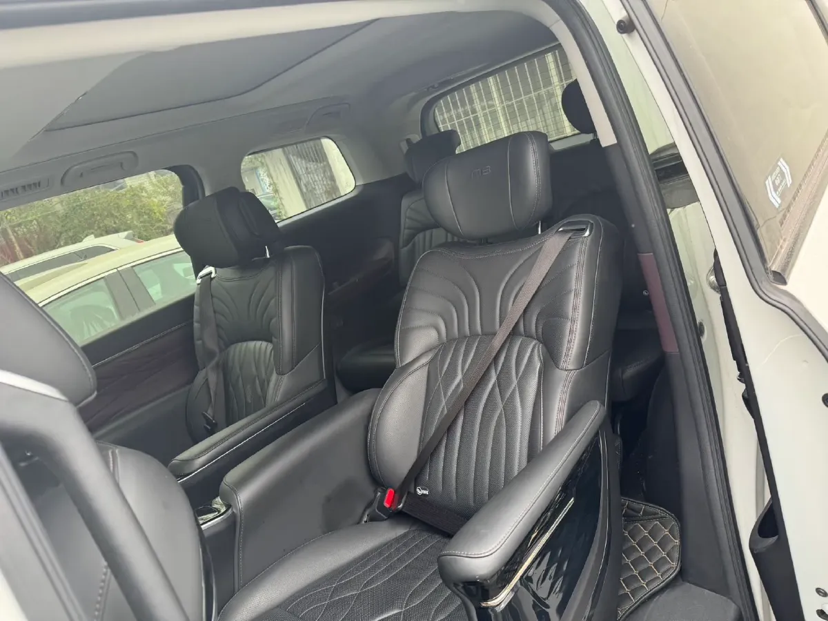 2024 GAC Trumpchi M8 2.0T 252HP L4 8AT,autocango,china used car exporter,china ev exporter,chinese used car exporter,chinese used ev exporter