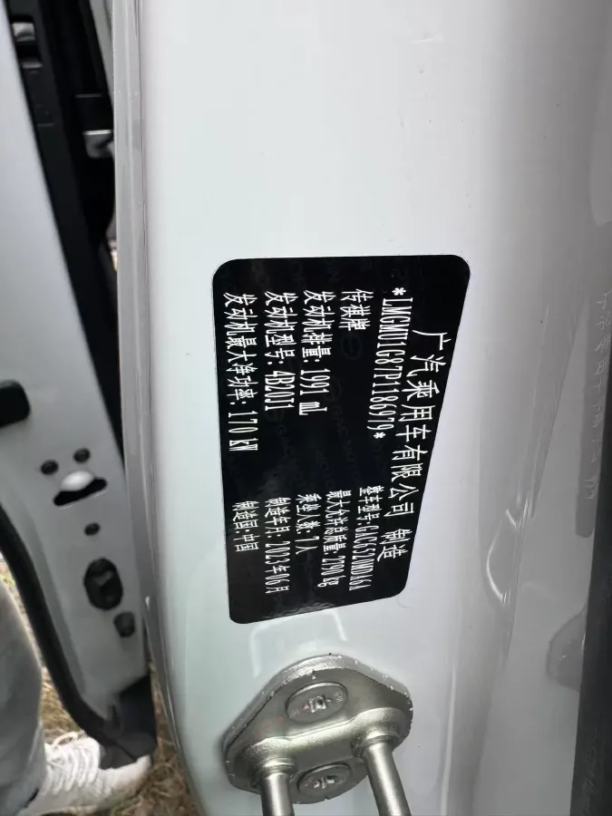 2024 GAC Trumpchi M8 2.0T 252HP L4 8AT,autocango,china used car exporter,china ev exporter,chinese used car exporter,chinese used ev exporter