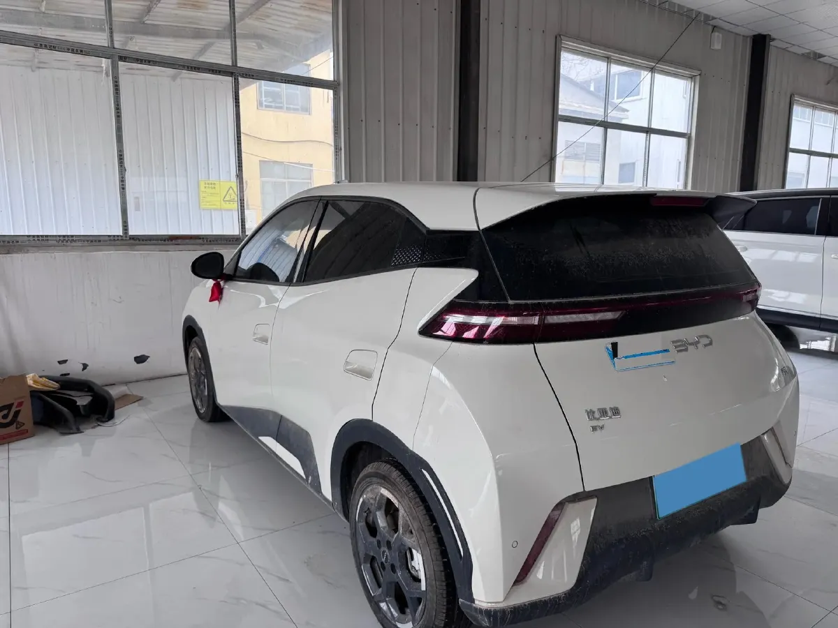 2024 BYD Seagull BEV 38.88KWH,autocango,china used car exporter,china ev exporter,chinese used car exporter,chinese used ev exporter