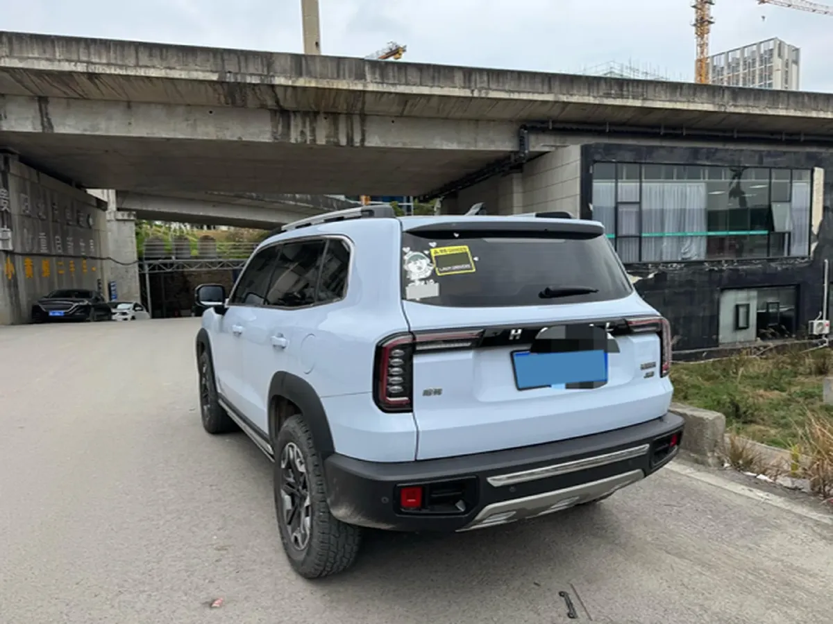 2021 Haval Dargo 2.0T 211HP L4 7DCT,autocango,china used car exporter,china ev exporter,chinese used car exporter,chinese used ev exporter