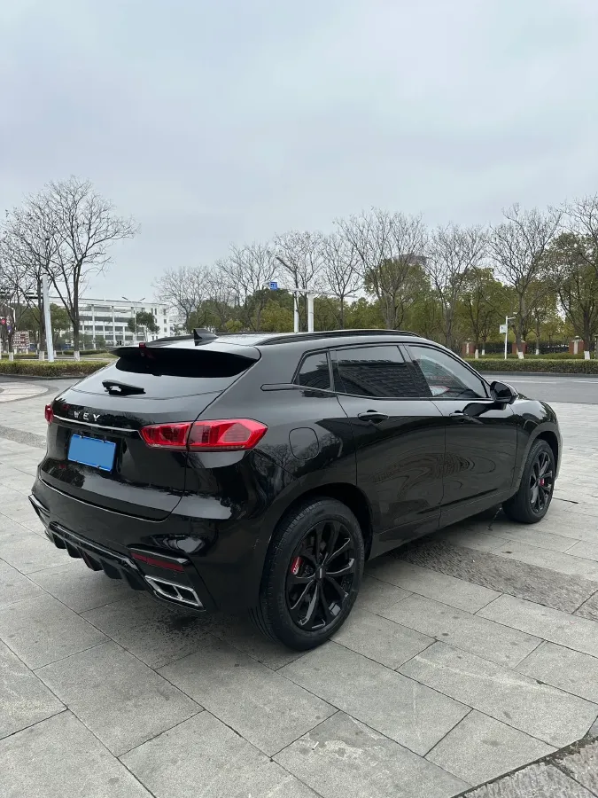 2020 WEY VV7 2.0T 227HP L4 7DCT,autocango,china used car exporter,china ev exporter,chinese used car exporter,chinese used ev exporter