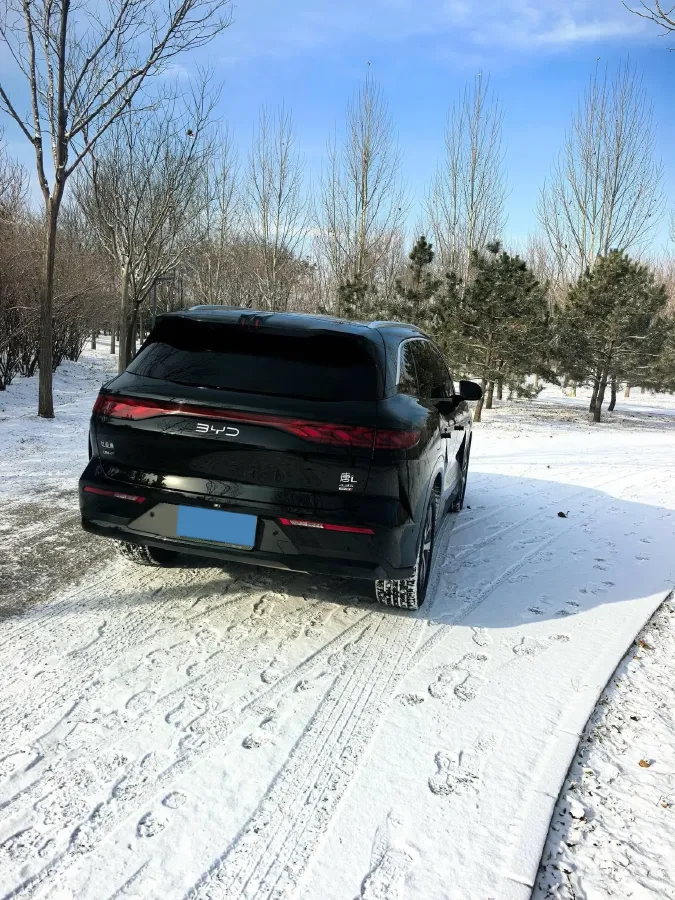 2025 BYD TangL 1.5T 156HP L4 E-CVT PHEV,autocango,china used car exporter,china ev exporter,chinese used car exporter,chinese used ev exporter