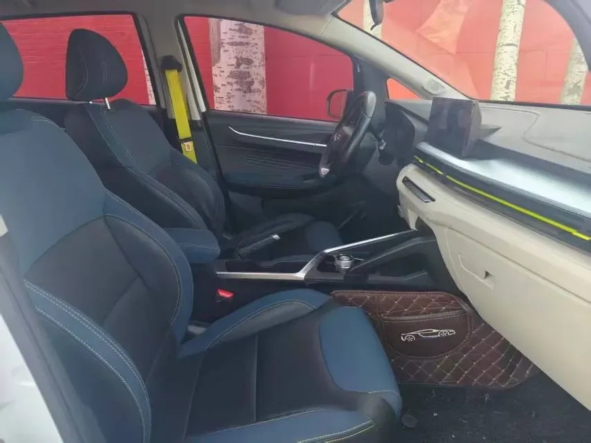 2021 Geometry EX3 BEV 37.23KWH,autocango,china used car exporter,china ev exporter,chinese used car exporter,chinese used ev exporter