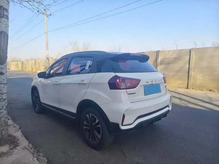2021 Geometry EX3 BEV 37.23KWH,autocango,china used car exporter,china ev exporter,chinese used car exporter,chinese used ev exporter