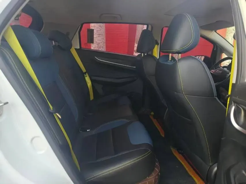 2021 Geometry EX3 BEV 37.23KWH,autocango,china used car exporter,china ev exporter,chinese used car exporter,chinese used ev exporter