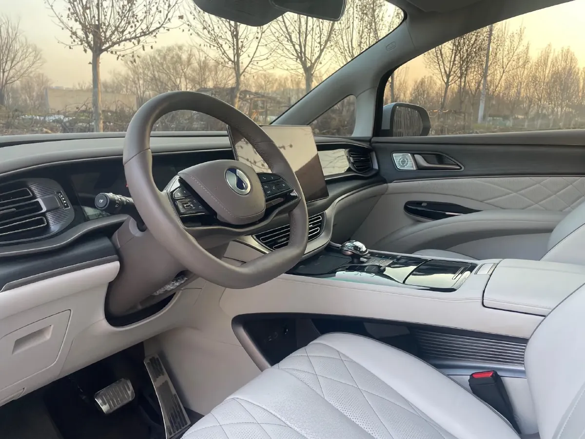 2024 Denza D9 1.5T 139HP L4 E-CVT PHEV 40KWH,autocango,china used car exporter,china ev exporter,chinese used car exporter,chinese used ev exporter