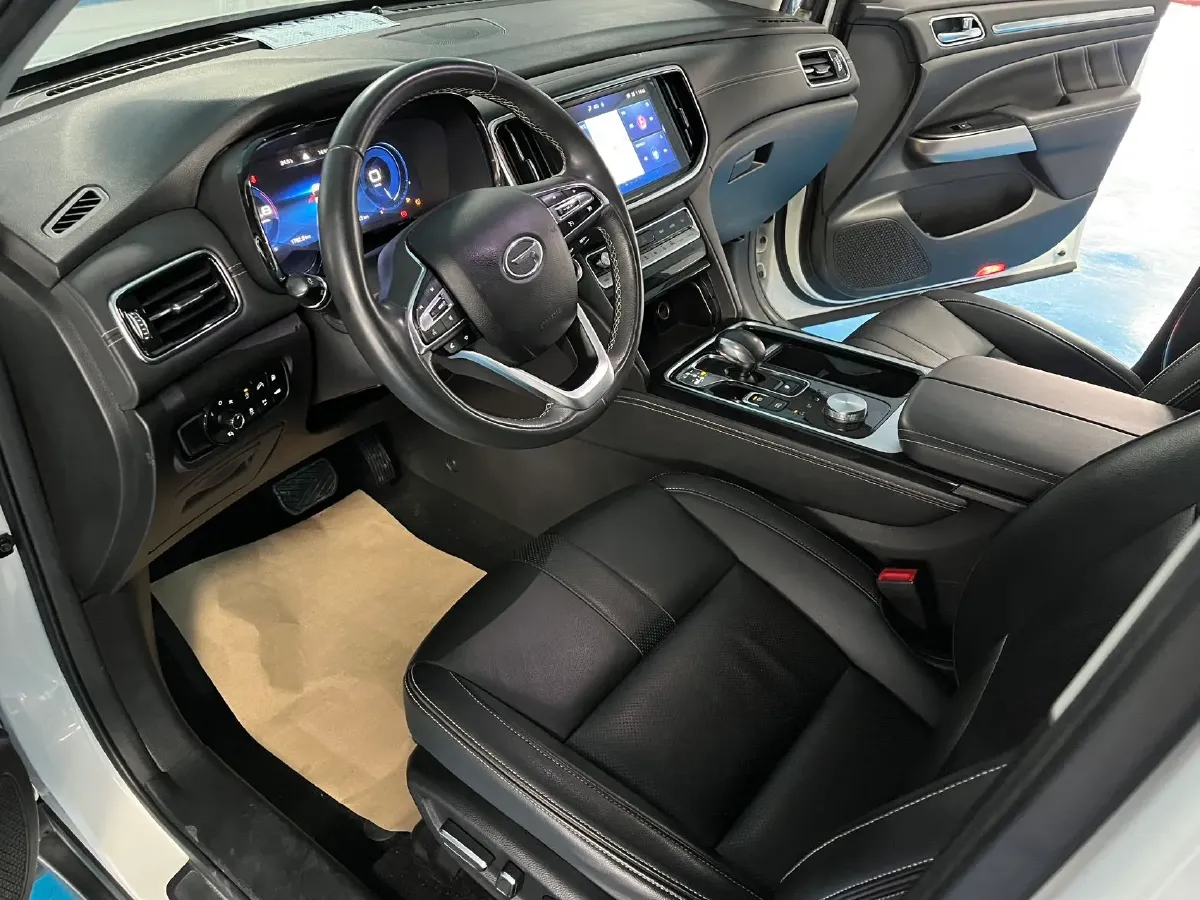 2020 GAC Trumpchi GS8 2.0T 252HP L4 6AT,autocango,china used car exporter,china ev exporter,chinese used car exporter,chinese used ev exporter