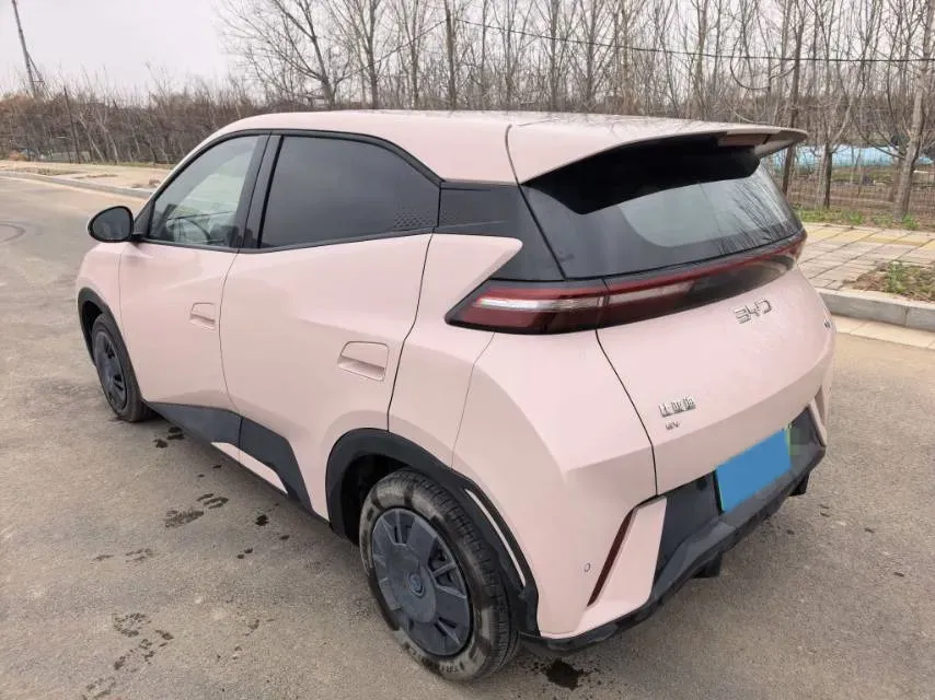 2025 BYD Seagull BEV 30.08KWH,autocango,china used car exporter,china ev exporter,chinese used car exporter,chinese used ev exporter