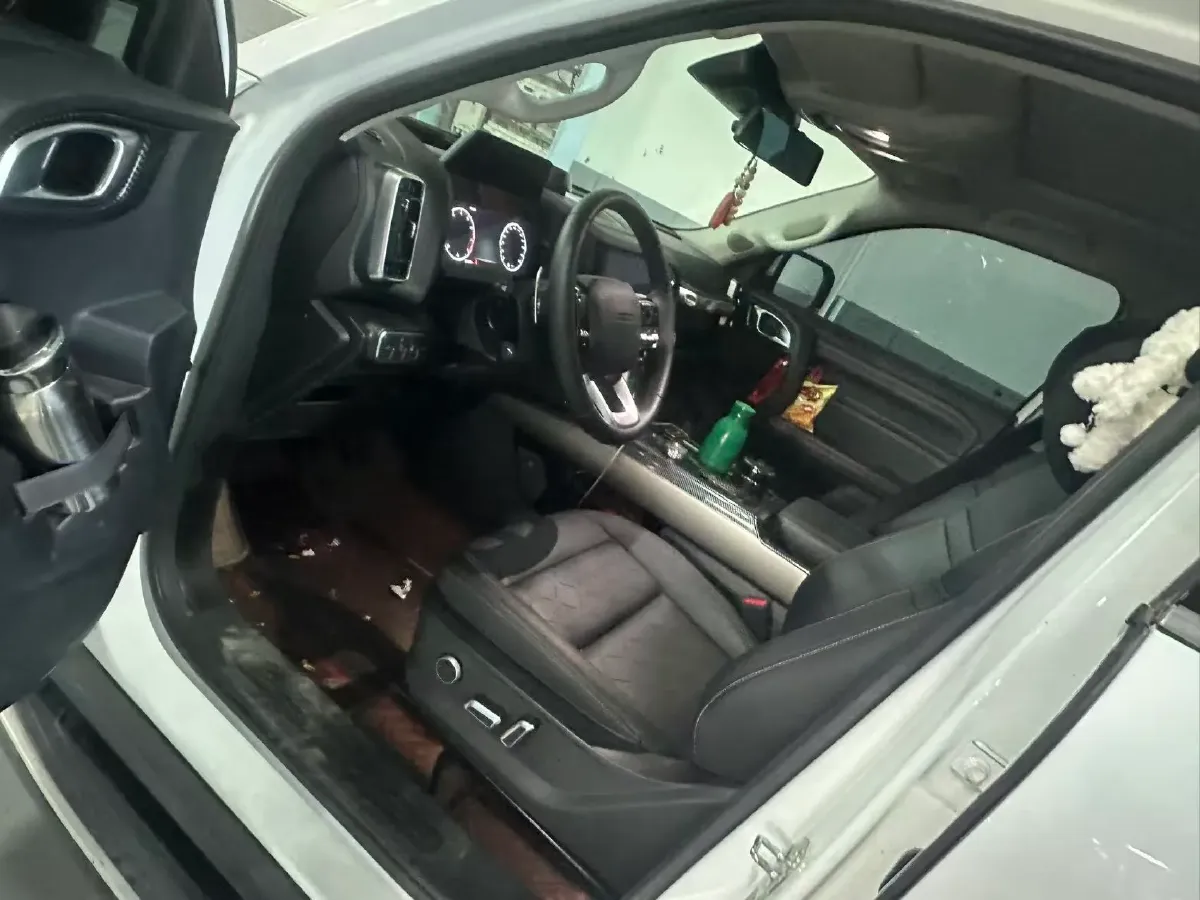 2024 Haval Dargo 2.0T 238HP L4 9DCT,autocango,china used car exporter,china ev exporter,chinese used car exporter,chinese used ev exporter