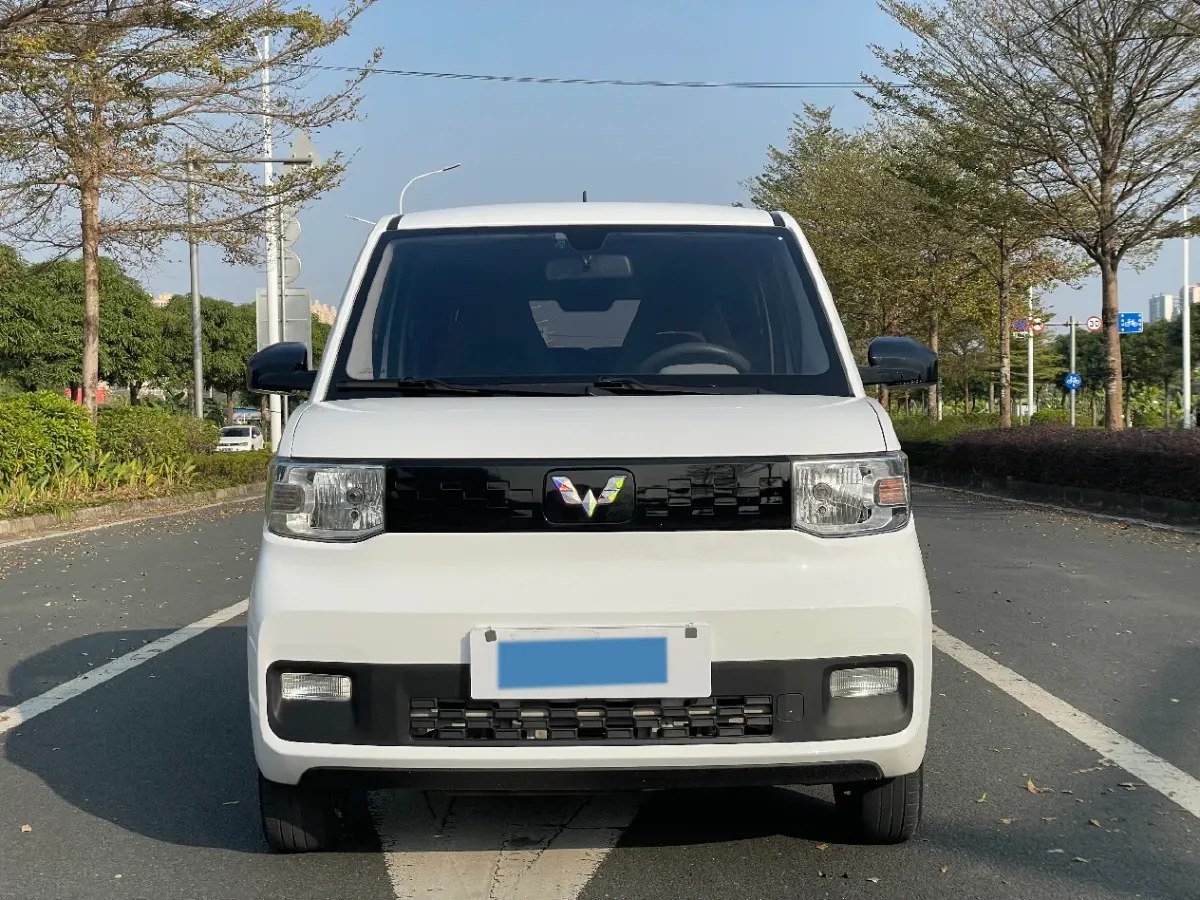 2020 WuLing HongGuang MINI EV BEV 9.3KWH,autocango,china used car exporter,china ev exporter,chinese used car exporter,chinese used ev exporter