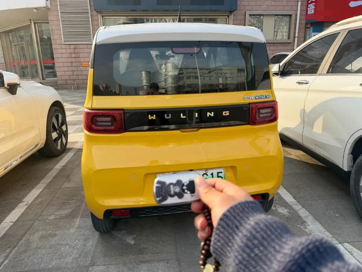 2021 WuLing HongGuang MINI EV BEV 13.8KWH,autocango,china used car exporter,china ev exporter,chinese used car exporter,chinese used ev exporter