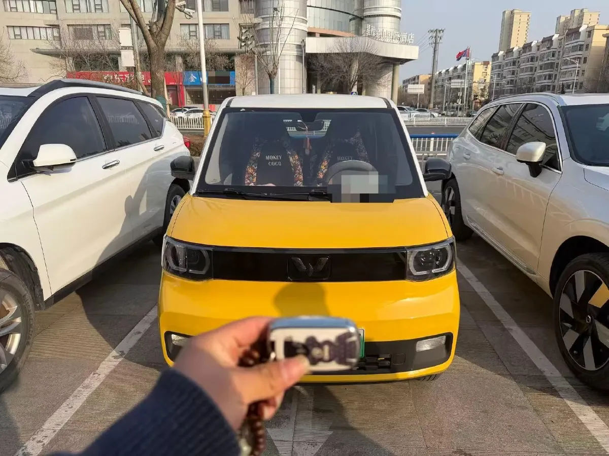 2021 WuLing HongGuang MINI EV BEV 13.8KWH,autocango,china used car exporter,china ev exporter,chinese used car exporter,chinese used ev exporter