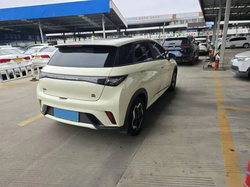2021 BYD Yuan Pro BEV 50.1KWH,autocango,china used car exporter,china ev exporter,chinese used car exporter,chinese used ev exporter