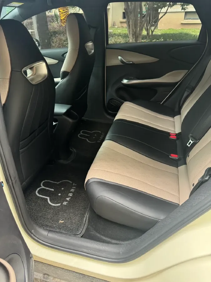 2025 BYD Dolphin BEV 44.928KWH,autocango,china used car exporter,china ev exporter,chinese used car exporter,chinese used ev exporter