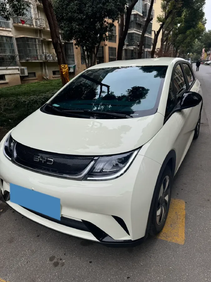 2025 BYD Dolphin BEV 44.928KWH,autocango,china used car exporter,china ev exporter,chinese used car exporter,chinese used ev exporter