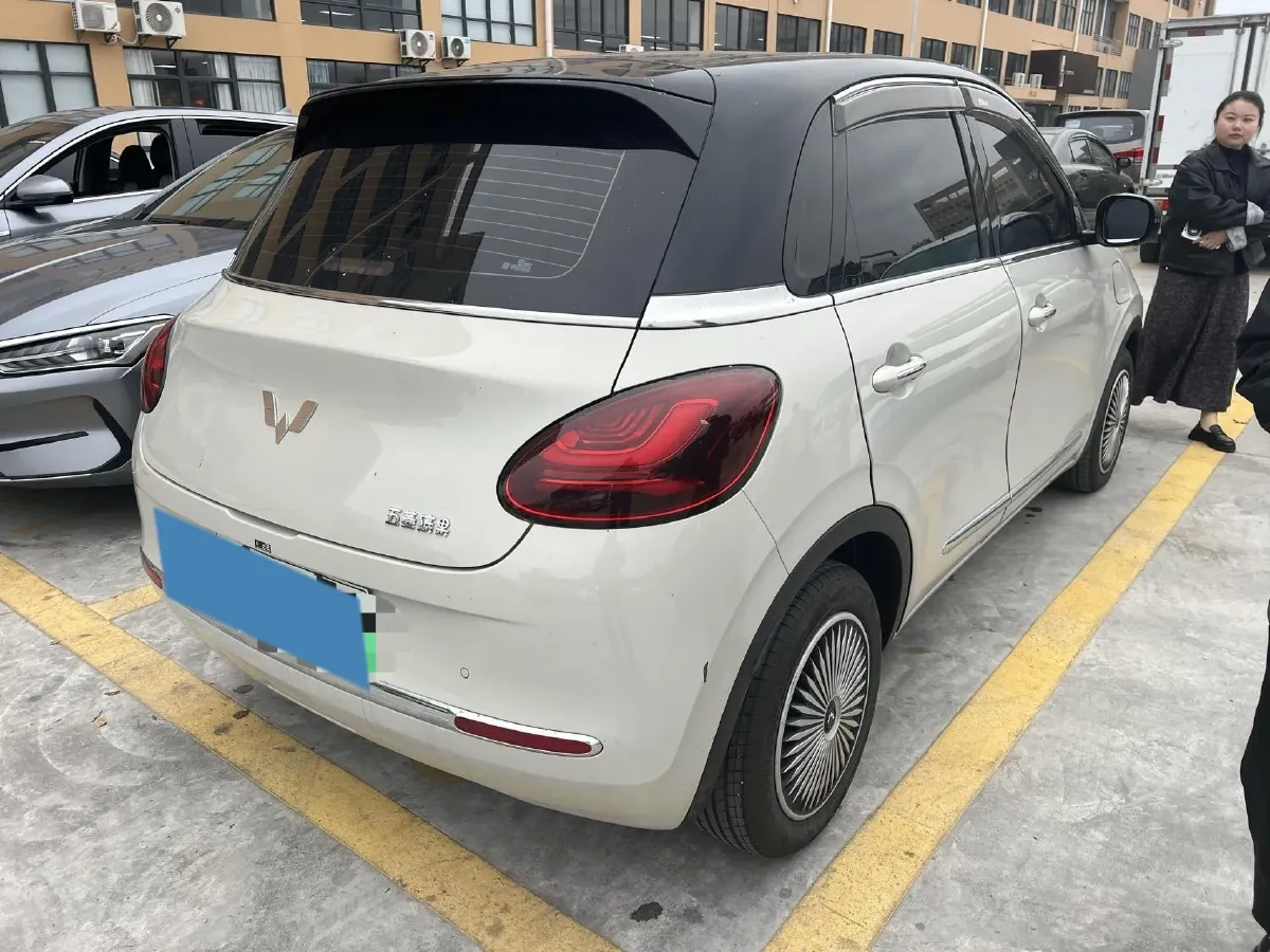 2024 WuLing BinGuo BEV 31.9KWH,autocango,china used car exporter,china ev exporter,chinese used car exporter,chinese used ev exporter
