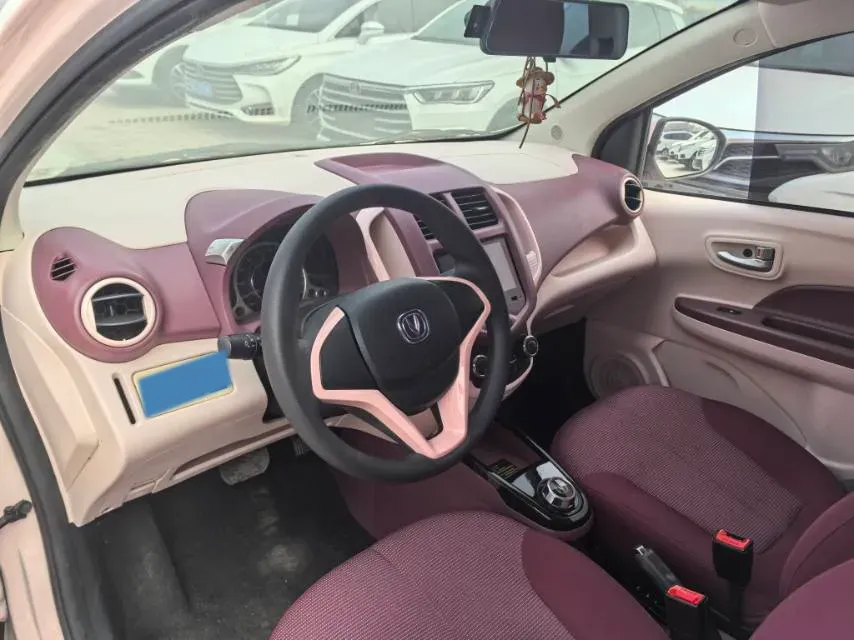 2022 ChangAn BenBen E-Star BEV 32.2KWH,autocango,china used car exporter,china ev exporter,chinese used car exporter,chinese used ev exporter