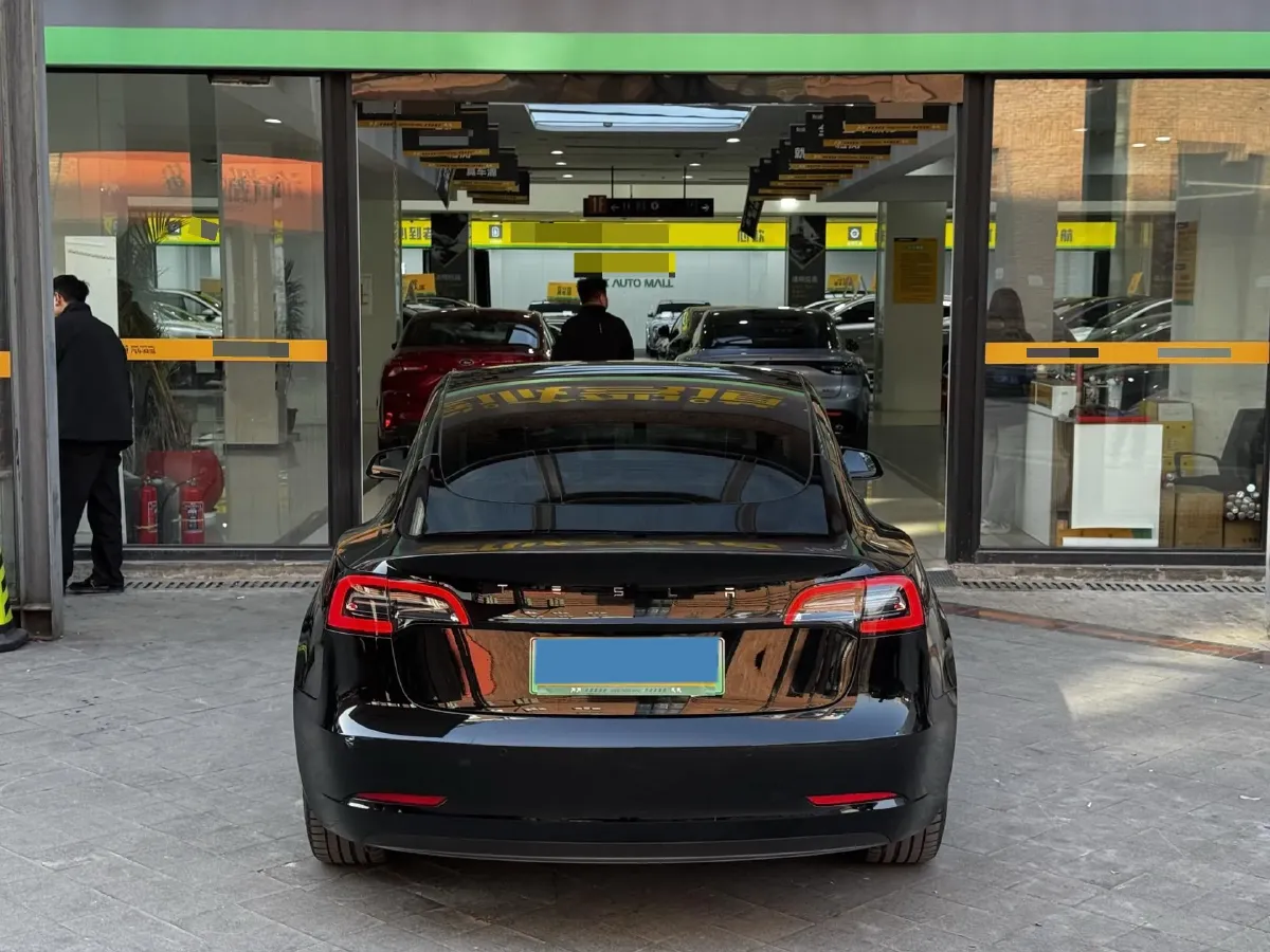 2021 Tesla Model 3 BEV 55KWH,autocango,china used car exporter,china ev exporter,chinese used car exporter,chinese used ev exporter