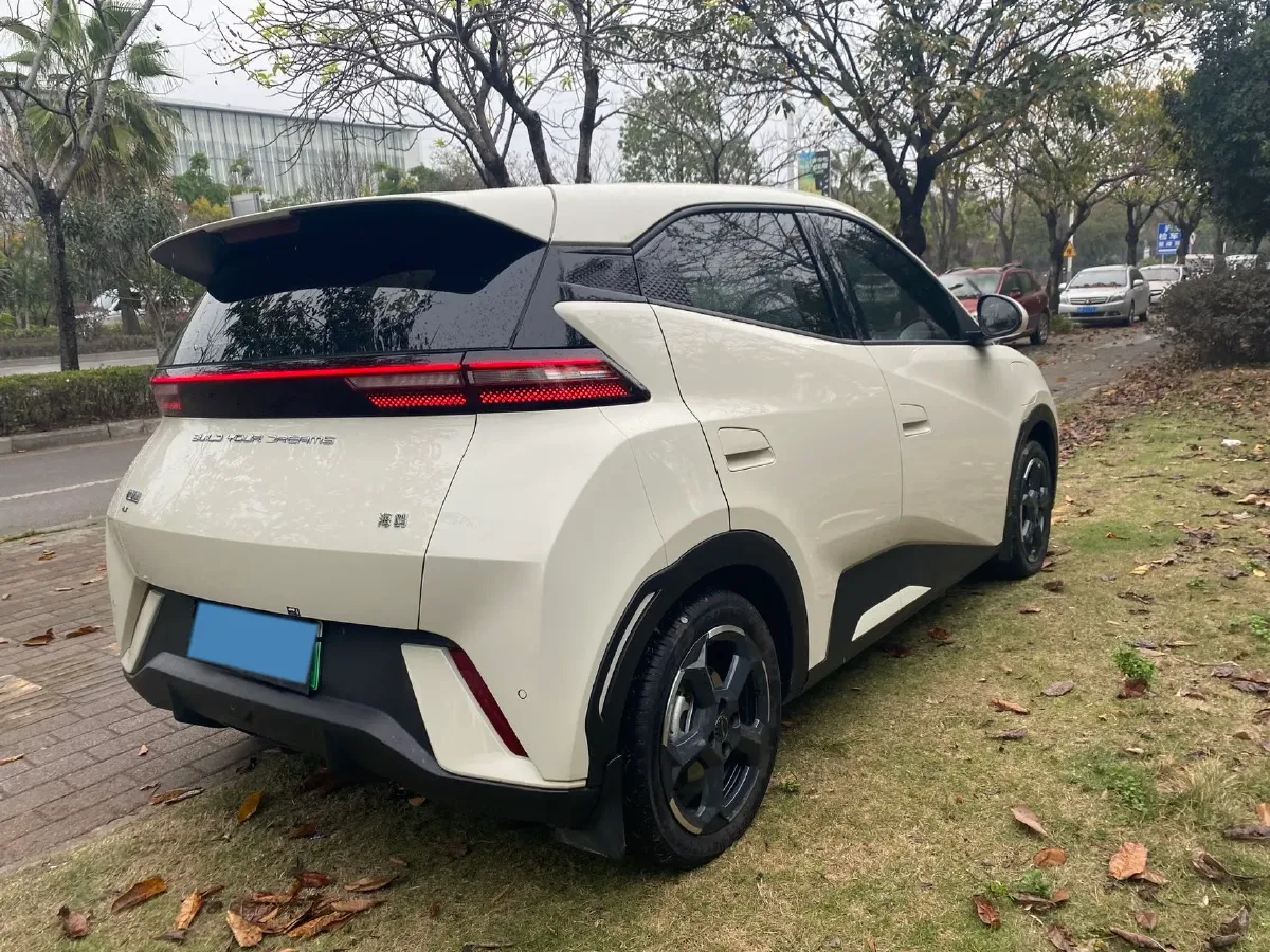 2023 BYD Seagull BEV 30.08KWH,autocango,china used car exporter,china ev exporter,chinese used car exporter,chinese used ev exporter