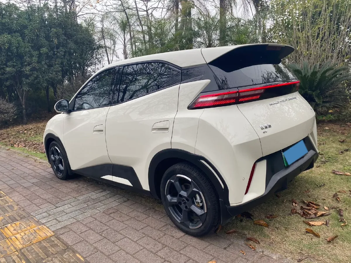 2023 BYD Seagull BEV 30.08KWH,autocango,china used car exporter,china ev exporter,chinese used car exporter,chinese used ev exporter