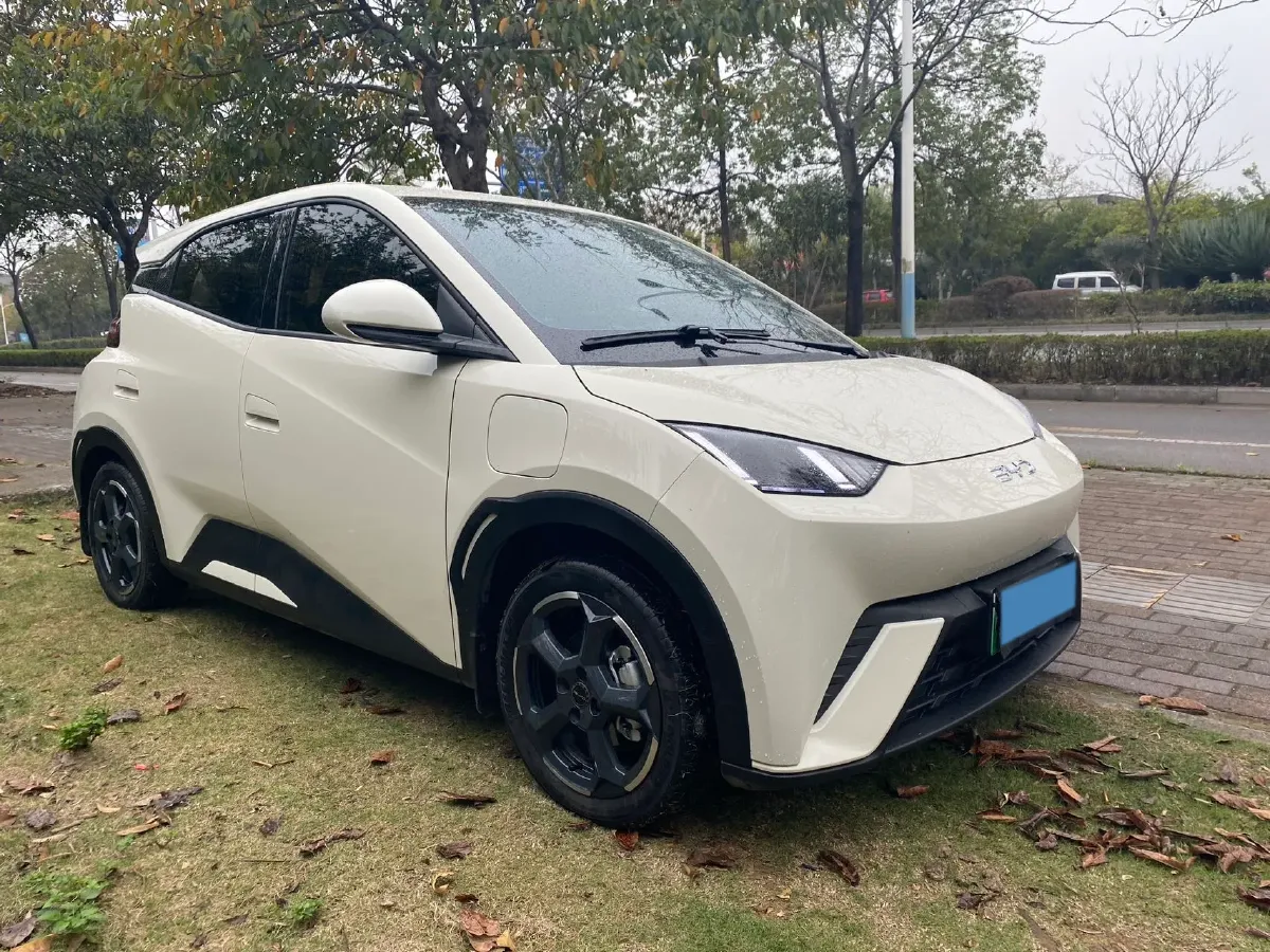 2023 BYD Seagull BEV 30.08KWH,autocango,china used car exporter,china ev exporter,chinese used car exporter,chinese used ev exporter