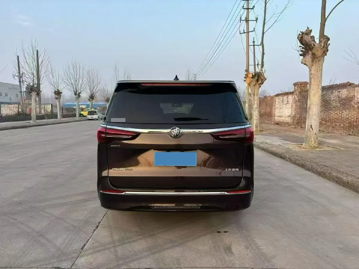 2021 Buick GL8 2.0T 237HP L4 9AT,autocango,china used car exporter,china ev exporter,chinese used car exporter,chinese used ev exporter
