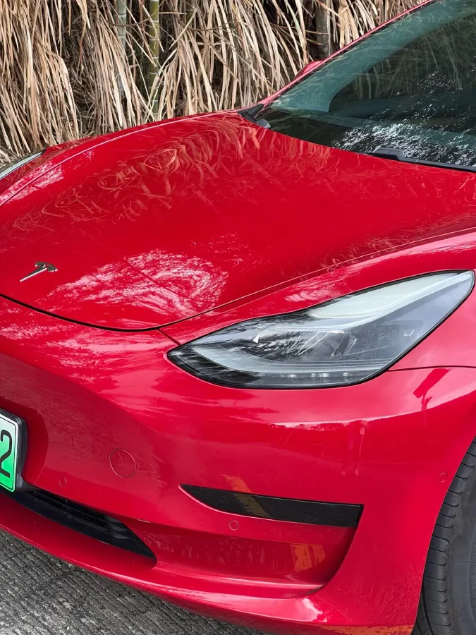 2021 Tesla Model 3 BEV 55KWH,autocango,china used car exporter,china ev exporter,chinese used car exporter,chinese used ev exporter