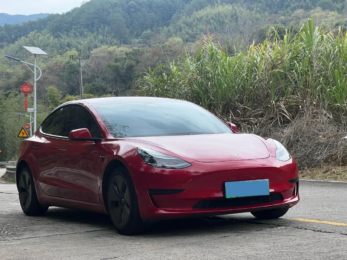 2021 Tesla Model 3 BEV 55KWH,autocango,china used car exporter,china ev exporter,chinese used car exporter,chinese used ev exporter