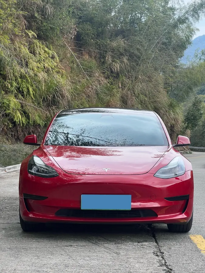2021 Tesla Model 3 BEV 55KWH,autocango,china used car exporter,china ev exporter,chinese used car exporter,chinese used ev exporter