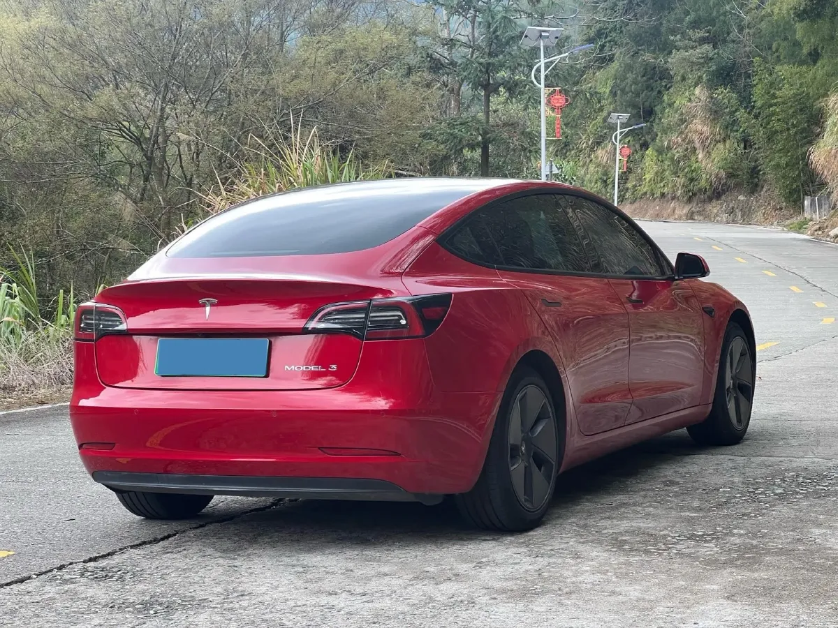 2021 Tesla Model 3 BEV 55KWH,autocango,china used car exporter,china ev exporter,chinese used car exporter,chinese used ev exporter