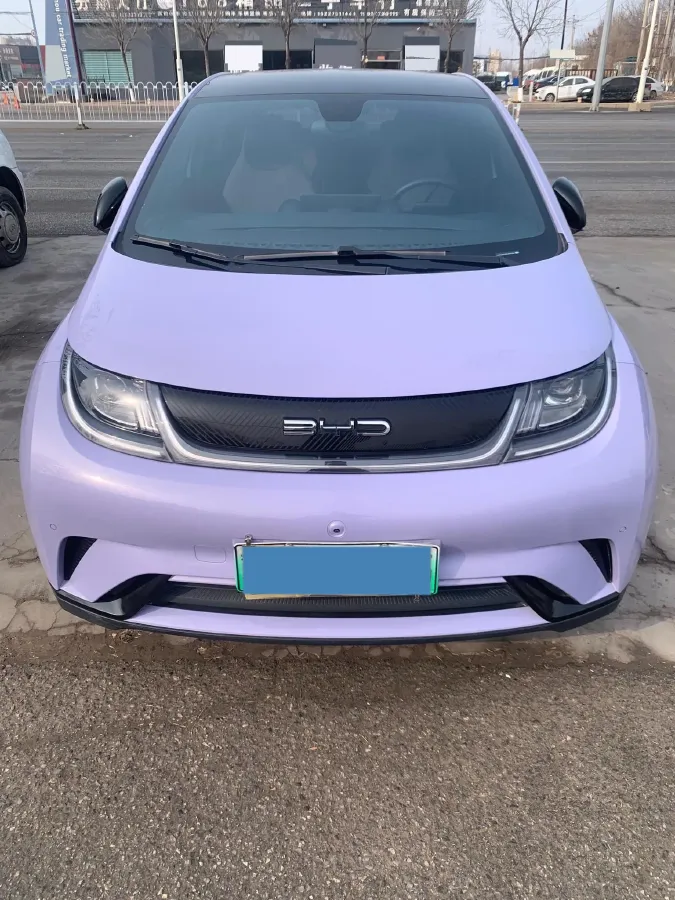 2023 BYD Dolphin BEV 44.928KWH,autocango,china used car exporter,china ev exporter,chinese used car exporter,chinese used ev exporter