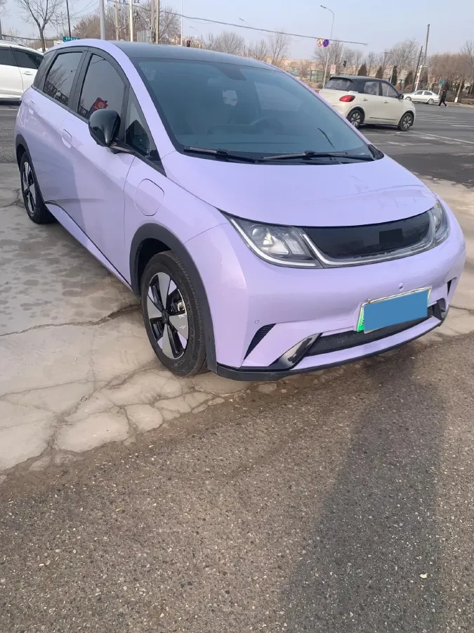 2023 BYD Dolphin BEV 44.928KWH,autocango,china used car exporter,china ev exporter,chinese used car exporter,chinese used ev exporter