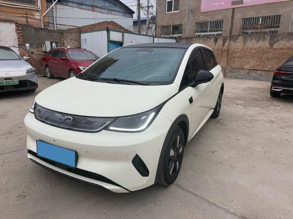 2025 BYD Dolphin BEV 45.12KWH,autocango,china used car exporter,china ev exporter,chinese used car exporter,chinese used ev exporter