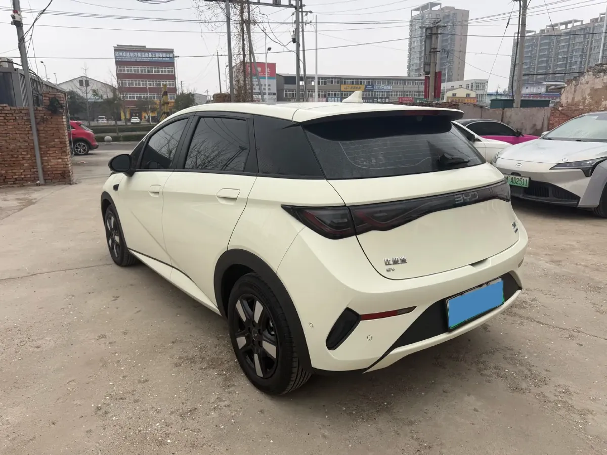 2025 BYD Dolphin BEV 45.12KWH,autocango,china used car exporter,china ev exporter,chinese used car exporter,chinese used ev exporter