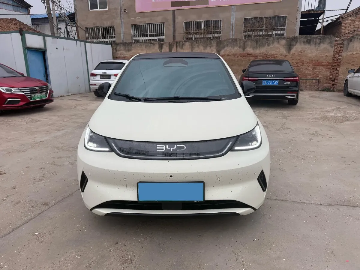 2025 BYD Dolphin BEV 45.12KWH,autocango,china used car exporter,china ev exporter,chinese used car exporter,chinese used ev exporter