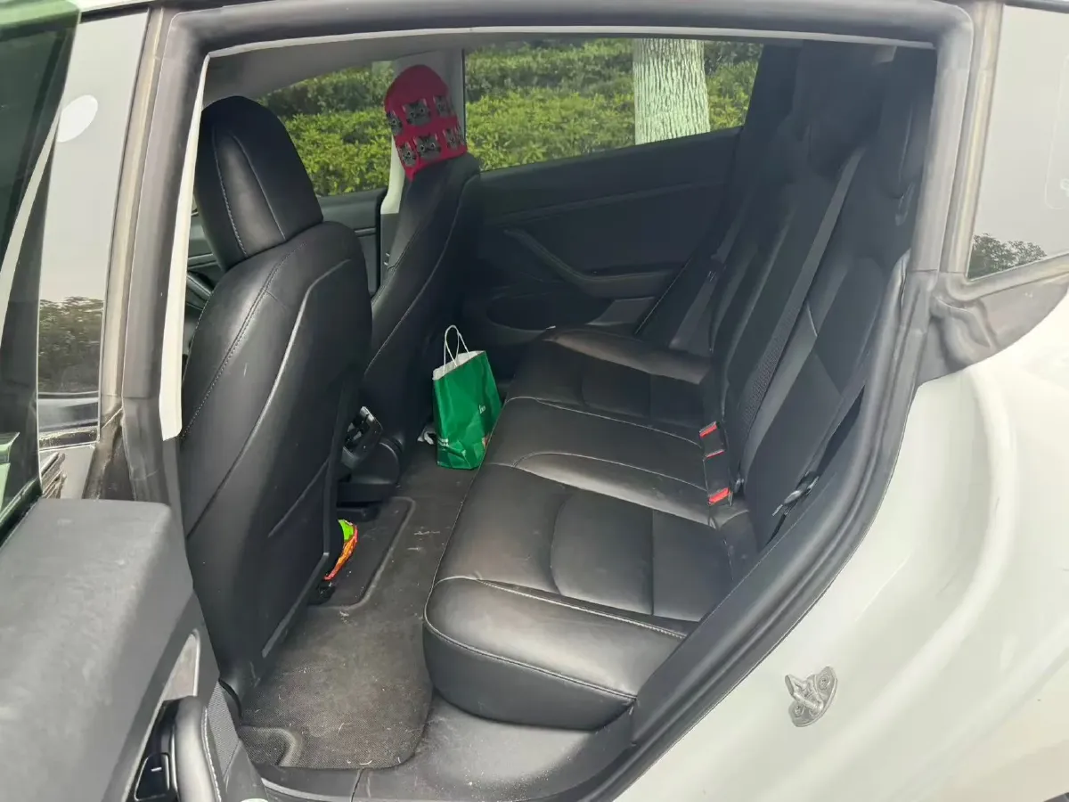 2020 Tesla Model 3 BEV 55KWH,autocango,china used car exporter,china ev exporter,chinese used car exporter,chinese used ev exporter