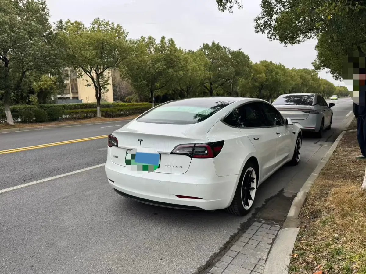 2020 Tesla Model 3 BEV 55KWH,autocango,china used car exporter,china ev exporter,chinese used car exporter,chinese used ev exporter
