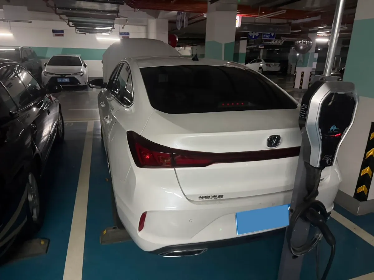 2024 ChangAn Eado 1.4T 160HP L4 7DCT,autocango,china used car exporter,china ev exporter,chinese used car exporter,chinese used ev exporter