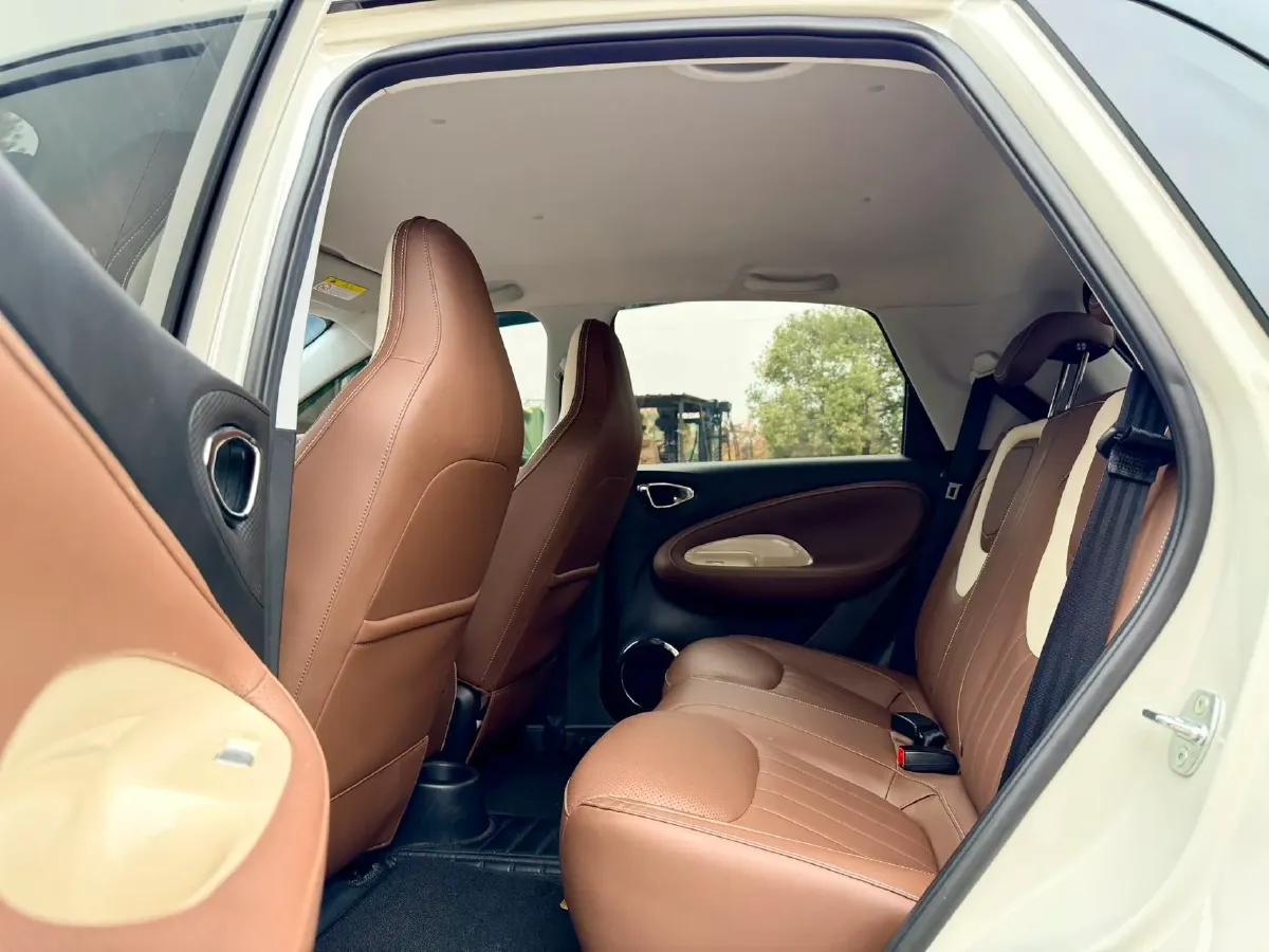 2024 WuLing BinGuo BEV 37.9KWH,autocango,china used car exporter,china ev exporter,chinese used car exporter,chinese used ev exporter