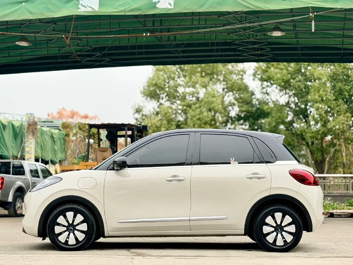 2024 WuLing BinGuo BEV 37.9KWH,autocango,china used car exporter,china ev exporter,chinese used car exporter,chinese used ev exporter