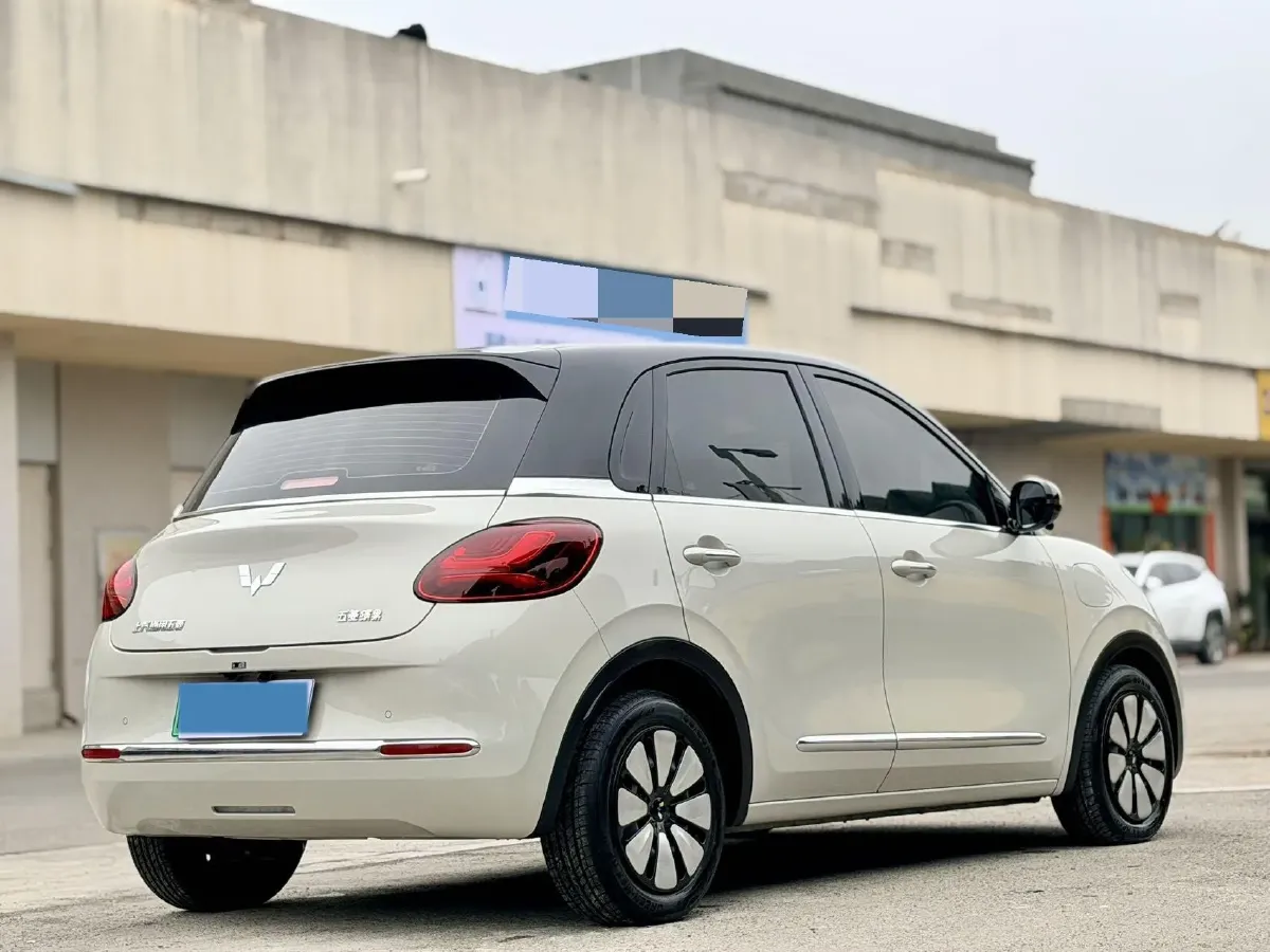 2024 WuLing BinGuo BEV 37.9KWH,autocango,china used car exporter,china ev exporter,chinese used car exporter,chinese used ev exporter