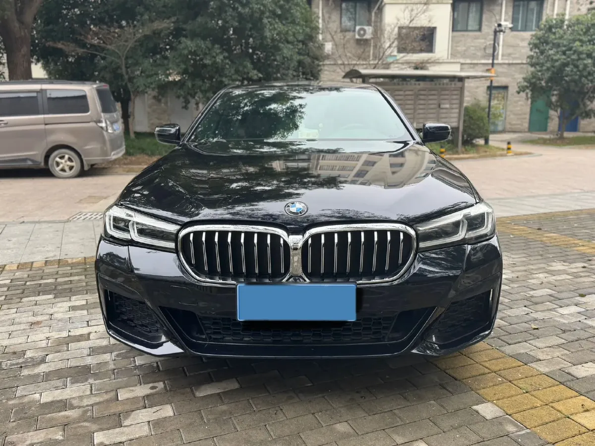 2021 BMW 5 Series 2.0T 252HP L4 8AT,autocango,china used car exporter,china ev exporter,chinese used car exporter,chinese used ev exporter