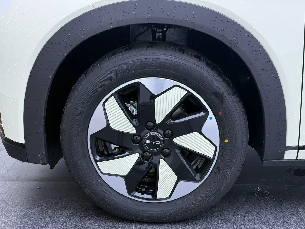 2025 BYD Dolphin BEV 44.928KWH,autocango,china used car exporter,china ev exporter,chinese used car exporter,chinese used ev exporter