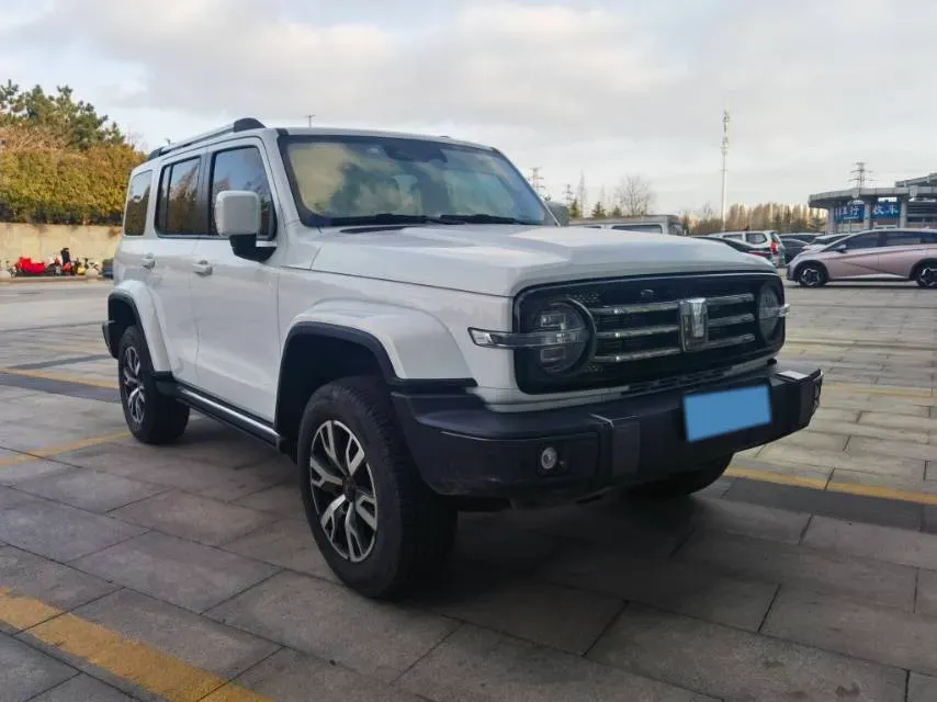 2021 Tank 300 2.0T 227HP L4 8AT,autocango,china used car exporter,china ev exporter,chinese used car exporter,chinese used ev exporter