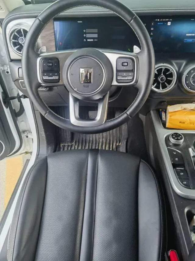 2021 Tank 300 2.0T 227HP L4 8AT,autocango,china used car exporter,china ev exporter,chinese used car exporter,chinese used ev exporter