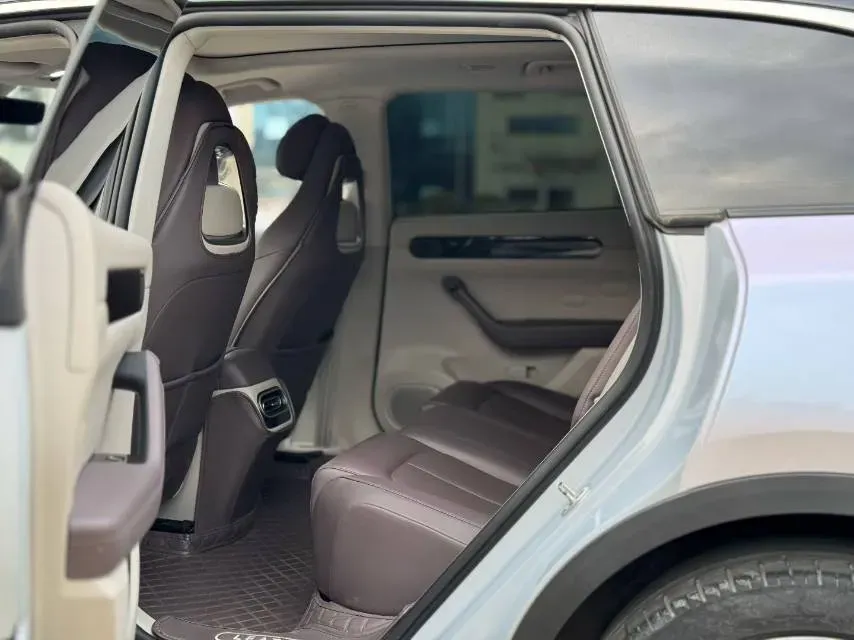 2023 Leapmotor C11 Range Extended 131HP REEV 30.1KWH,autocango,china used car exporter,china ev exporter,chinese used car exporter,chinese used ev exporter