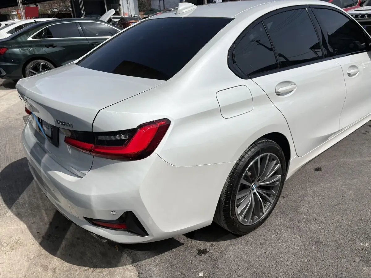 2021 BMW 3 Series 2.0T 156HP L4 8AT,autocango,china used car exporter,china ev exporter,chinese used car exporter,chinese used ev exporter